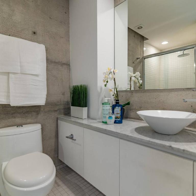 Casa Ajolote - Exclusive and Modern in Condesa - Apartamento - 13