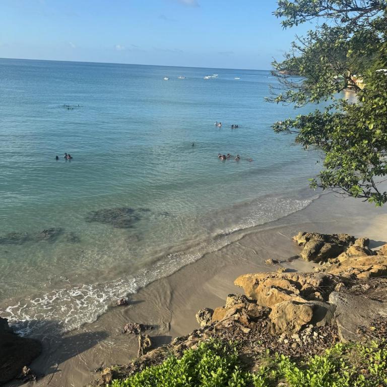 Freshwater Bay House Beach - Casa de 5 dormitorios - 14