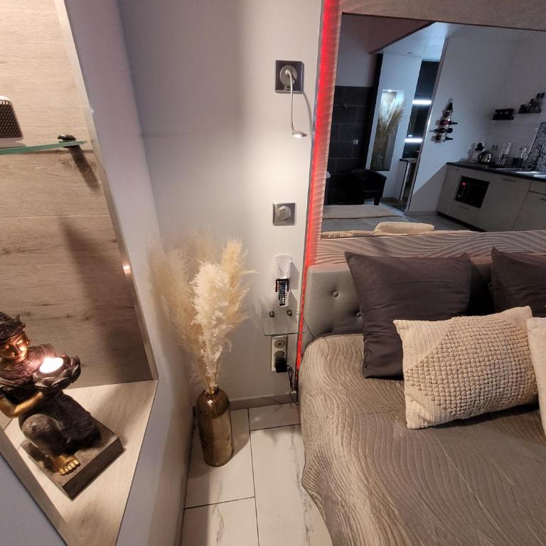 Secret Love Jacuzzi ou Midnight Spa - Deluxe Studio - 9