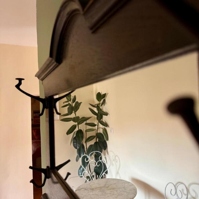 Casa Paloma - Apartment mit 1 Schlafzimmer - 2