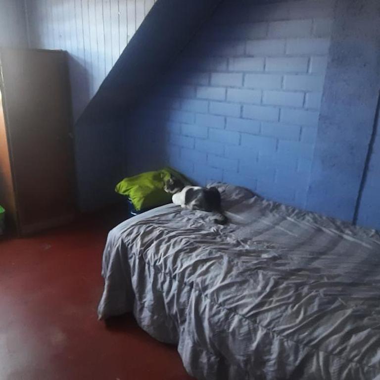 El refugio de Shisho - Habitación Individual - 1