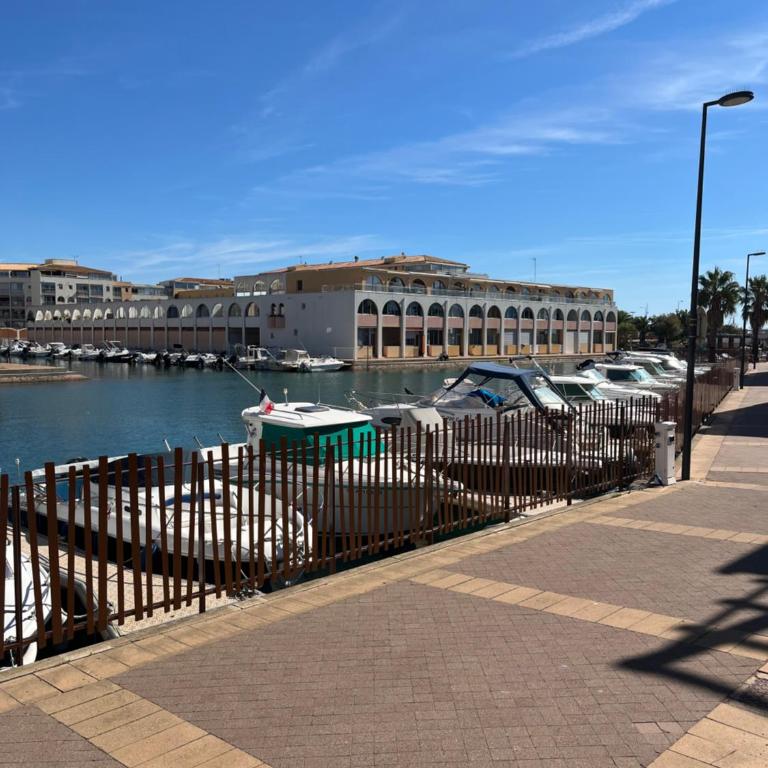 cosyT2plage 200m jardin et climatisation - Apartment mit 1 Schlafzimmer - 9