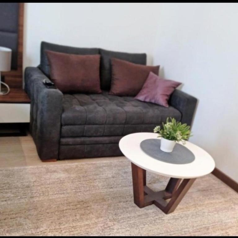 Harry apartments - Apart & spa Zoned Kopaonik, Special offer for Genius status, in addition, we offer special benefits for children up to 17 years old!!! - Deluxe Double Studio - 11