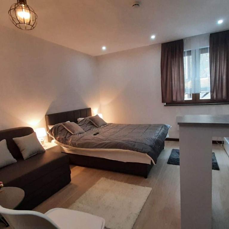 Harry apartments - Apart & spa Zoned Kopaonik, Special offer for Genius status, in addition, we offer special benefits for children up to 17 years old!!! - Deluxe Double Studio - 8