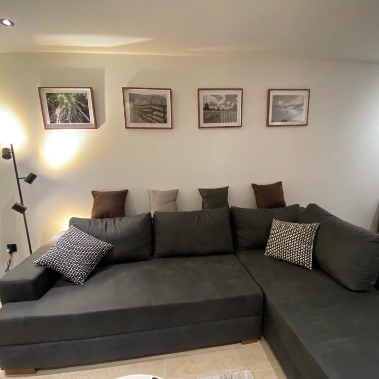 Harry apartments - Apart & spa Zoned Kopaonik, Special offer for Genius status, in addition, we offer special benefits for children up to 17 years old!!! - Superior One-Bedroom Apartment with Balcony - 19