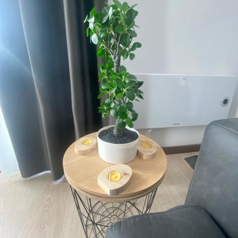 Harry apartments - Apart & spa Zoned Kopaonik, Special offer for Genius status, in addition, we offer special benefits for children up to 17 years old!!! - Superior One-Bedroom Apartment with Balcony - 17