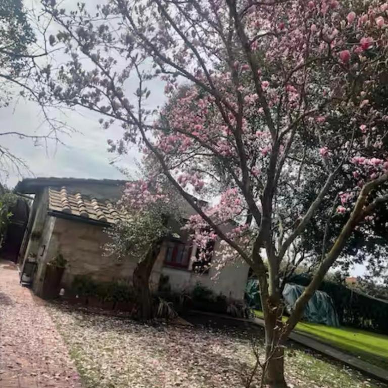 Garden Guest House - Chalet con 1 Camera da Letto - 71