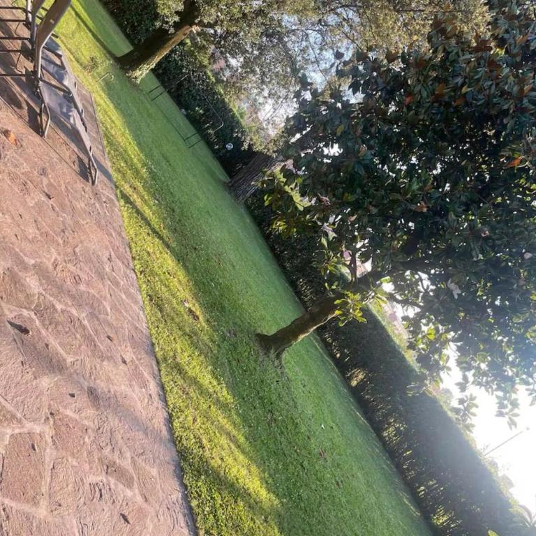 Garden Guest House - Chalet con 1 Camera da Letto - 70