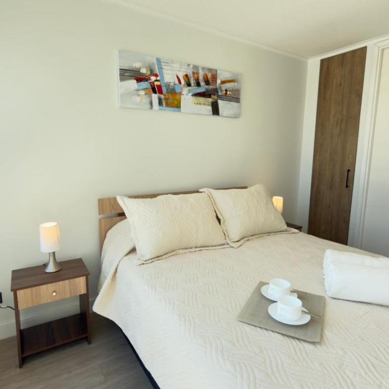 HOM I Metro Irarrazaval I WIFI I Barrio Italia - Apartment - 16