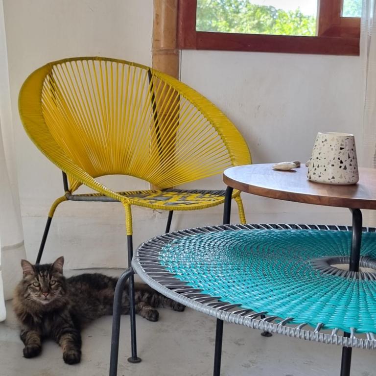 Atalaya del Mar Palomino - Deluxe Double or Twin Room with Balcony - 6