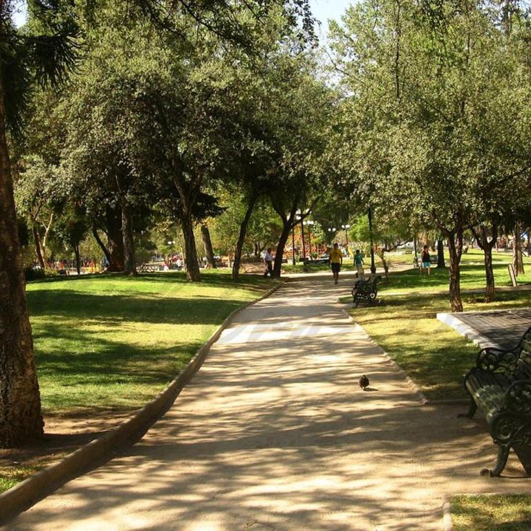 Duplex with terrace in Providencia, Santiago - Apartamento de 1 dormitorio - 44