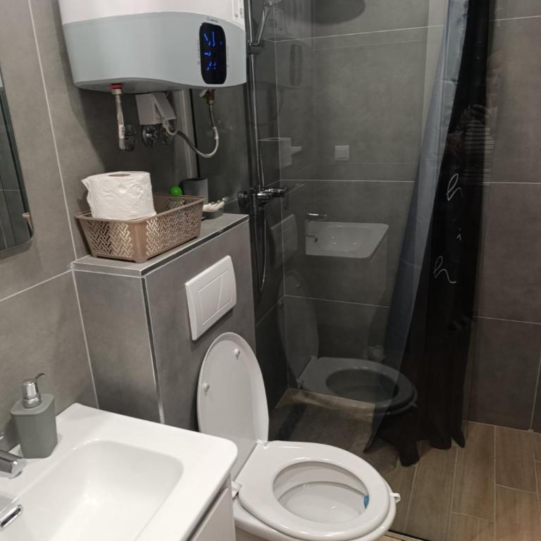 Kopaonik-President kop apartment 101 free wellness&spa - One-Bedroom Apartment - 8