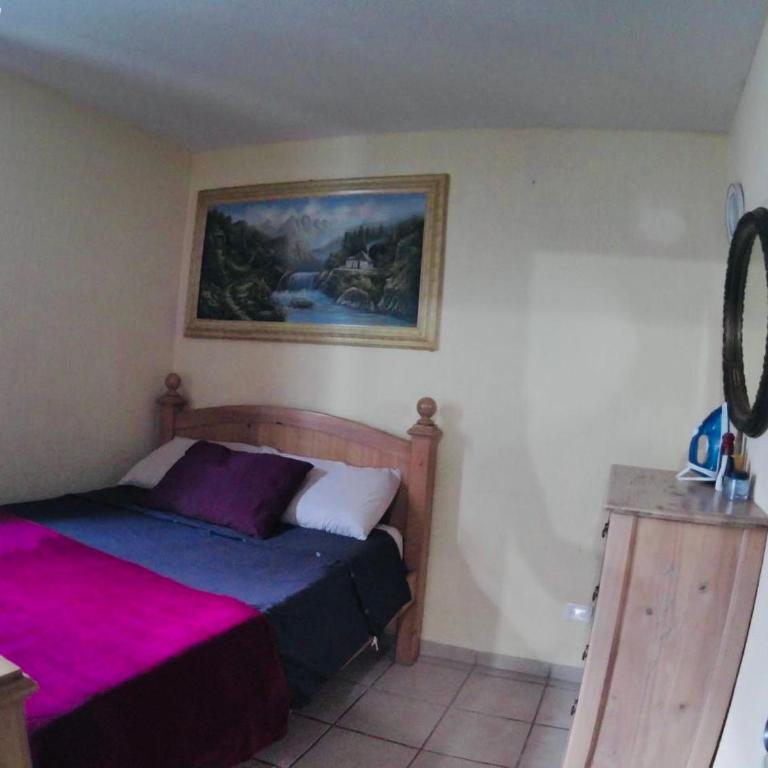 dLeon - One-Bedroom Apartment - 60