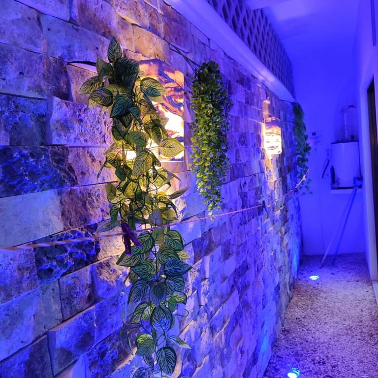 Chan Kiin Departamentos - Apartamento de 1 dormitorio - 15
