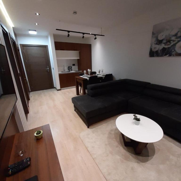 Harry apartments - Apart & spa Zoned Kopaonik, Special offer for Genius status, in addition, we offer special benefits for children up to 17 years old!!! - Deluxe One-Bedroom Apartment - 8