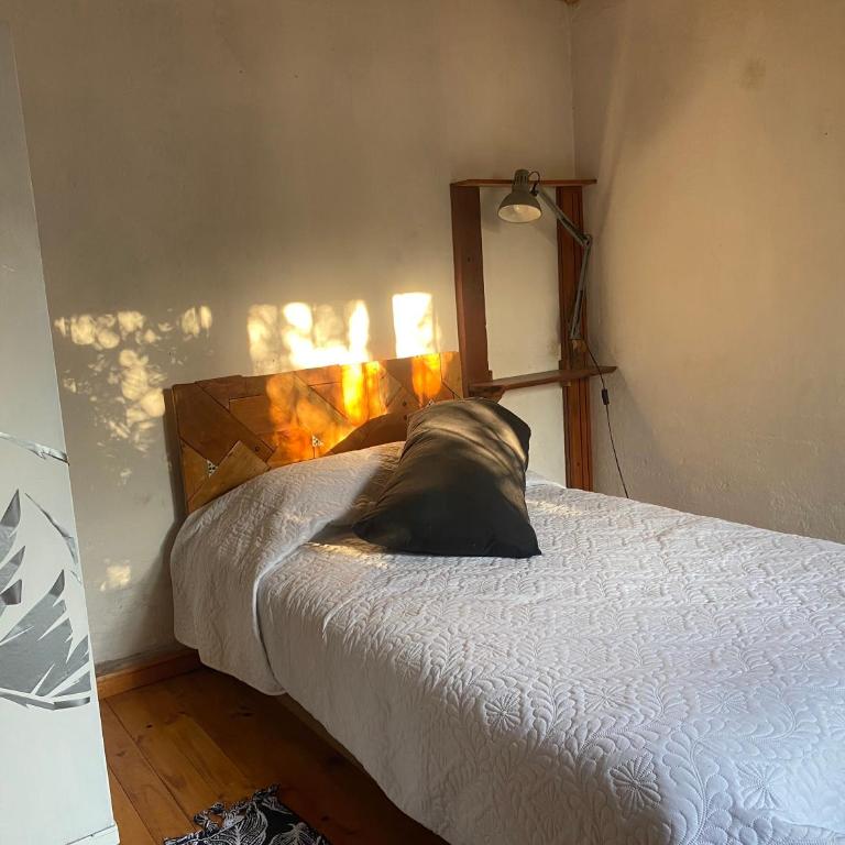 El Pillan "Travelers" House - Habitación Individual con baño privado - 4