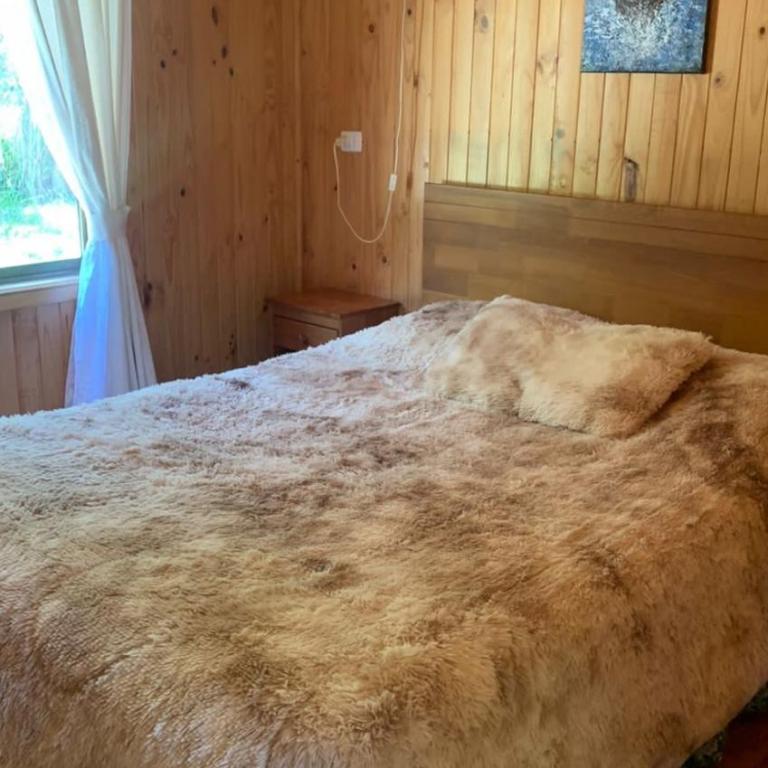 Cabañas Annunakis - Casa - 4