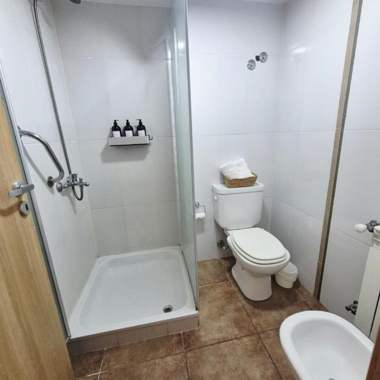 Luminoso departamento Céntrico - One-Bedroom Apartment - 3