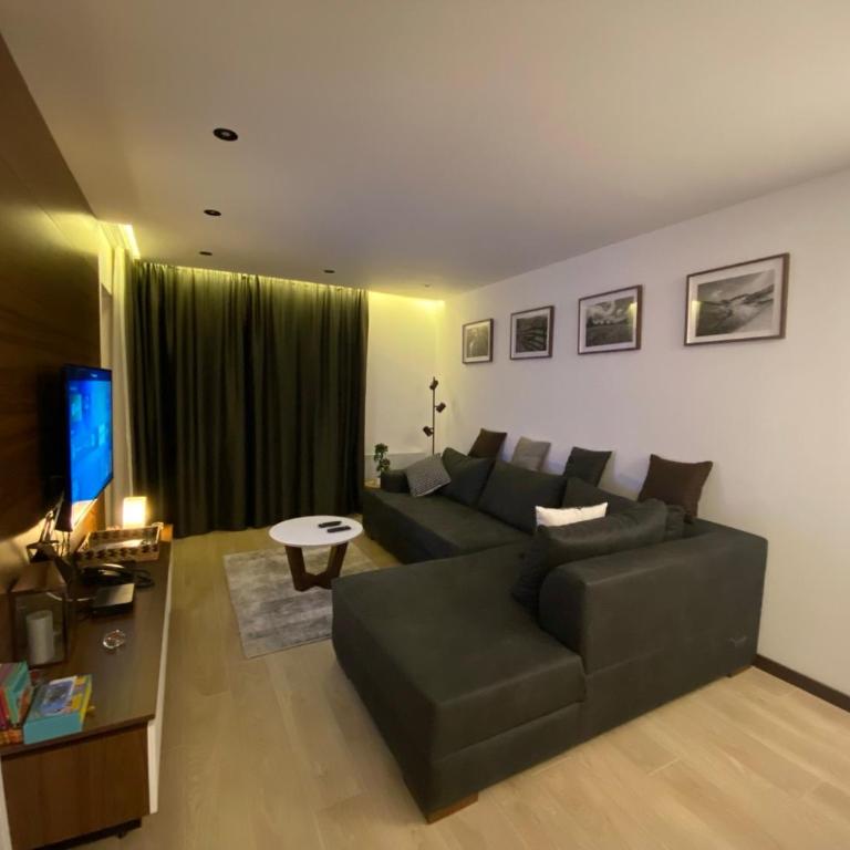 Harry apartments - Apart & spa Zoned Kopaonik, Special offer for Genius status, in addition, we offer special benefits for children up to 17 years old!!! - Superior One-Bedroom Apartment with Balcony - 11