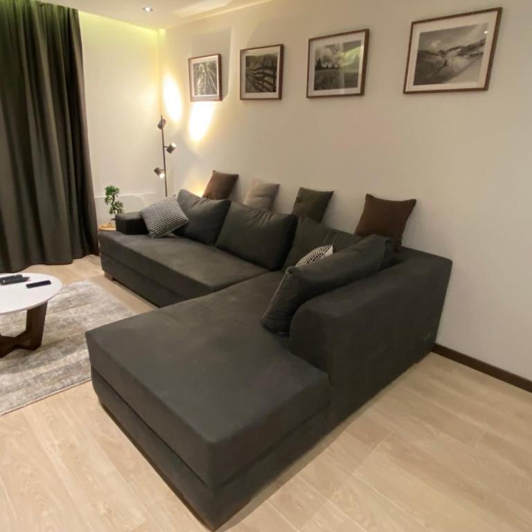 Harry apartments - Apart & spa Zoned Kopaonik, Special offer for Genius status, in addition, we offer special benefits for children up to 17 years old!!! - Superior One-Bedroom Apartment with Balcony - 8