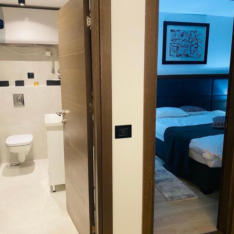 Harry apartments - Apart & spa Zoned Kopaonik, Special offer for Genius status, in addition, we offer special benefits for children up to 17 years old!!! - Superior One-Bedroom Apartment with Balcony - 6