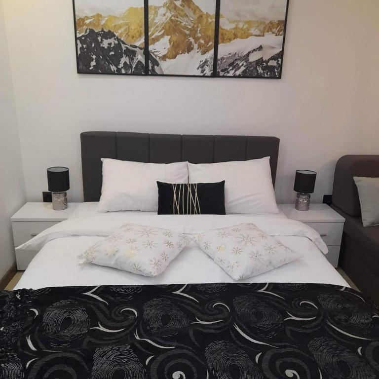 Harry apartments - Apart & spa Zoned Kopaonik, Special offer for Genius status, in addition, we offer special benefits for children up to 17 years old!!! - Deluxe Double Studio - 4
