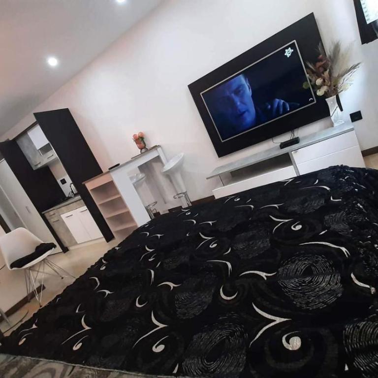 Harry apartments - Apart & spa Zoned Kopaonik, Special offer for Genius status, in addition, we offer special benefits for children up to 17 years old!!! - Deluxe Double Studio - 3