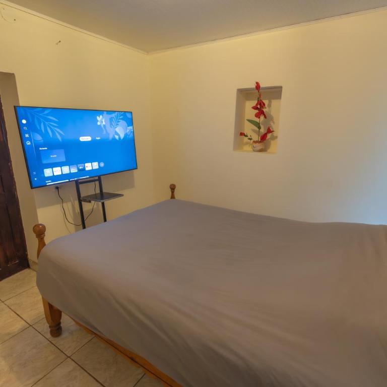Finca Casa Del Pino - Three-Bedroom House - 2