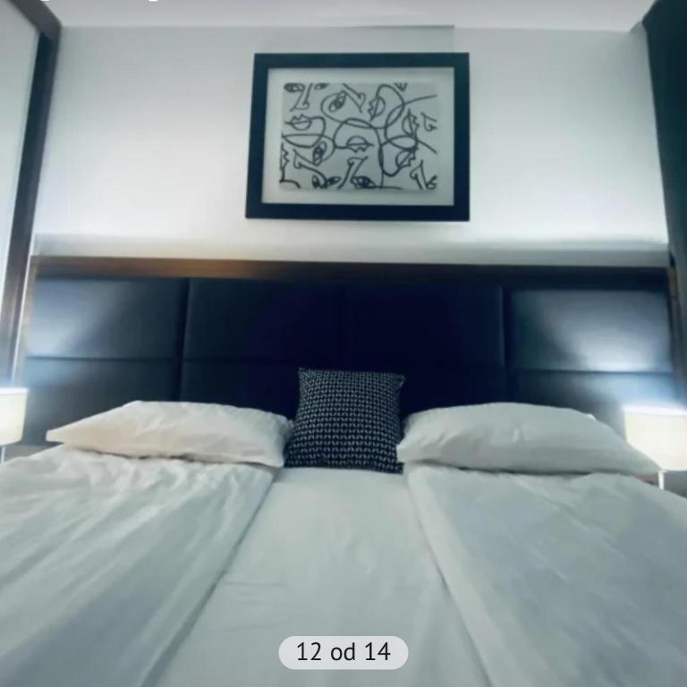 Harry apartments - Apart & spa Zoned Kopaonik, Special offer for Genius status, in addition, we offer special benefits for children up to 17 years old!!! - Deluxe One-Bedroom Apartment - 4