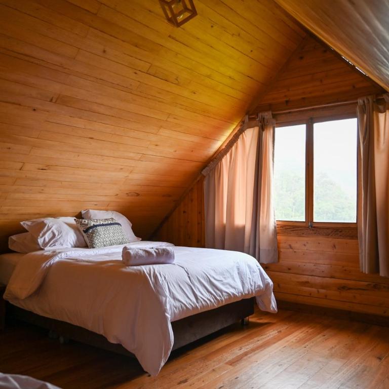 Montecatini Ecolodge - Two-Bedroom Chalet - 3