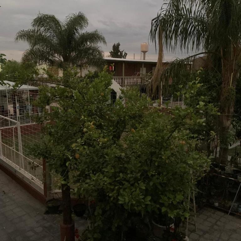 Las Peñas - Apartamento de 1 dormitorio - 4