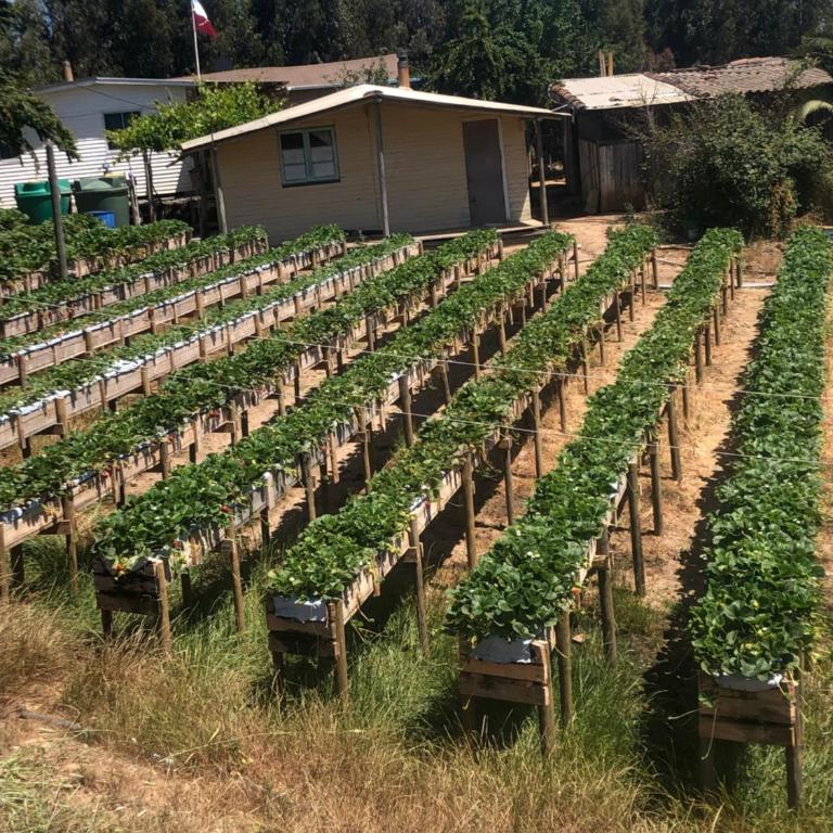 Alojamiento y Desayuno Privado de Lujo C1 - One-Bedroom House - 17