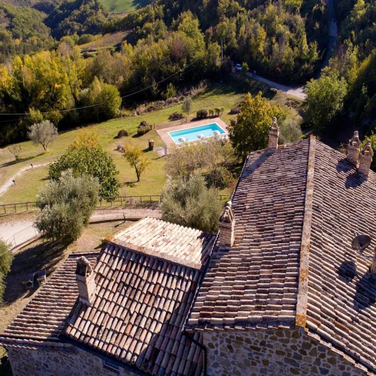 Apartment in farmhouse with pool - Appartamento - 9