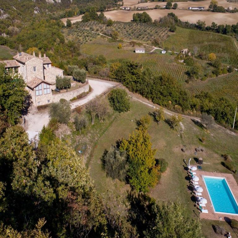 Apartment in farmhouse with pool - Appartamento - 7