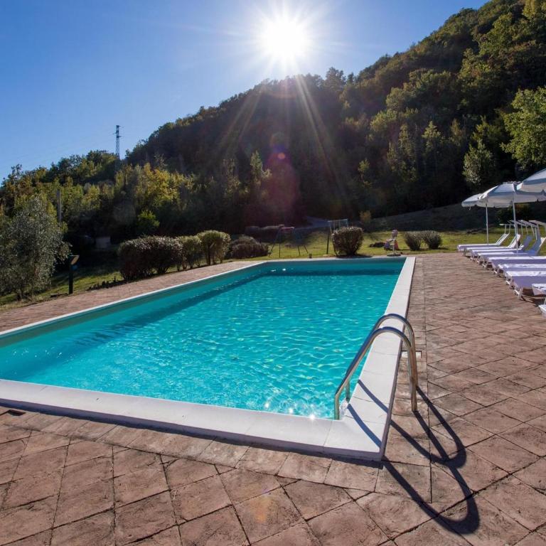 Apartment in farmhouse with pool - Appartamento - 21