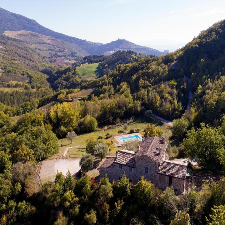 Apartment in farmhouse with pool - Appartamento - 12