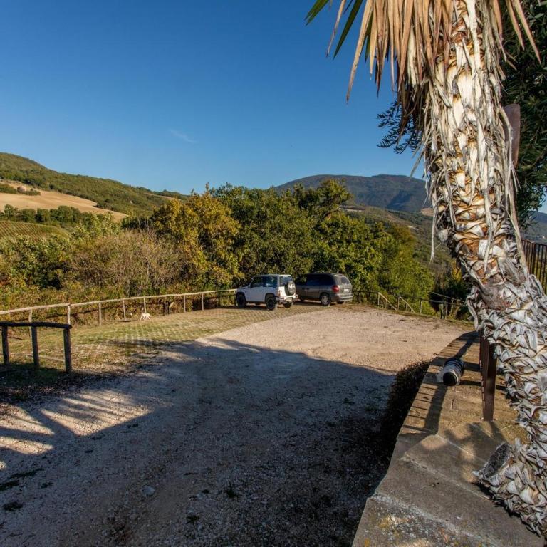 Apartment in a farmhouse with swimming pool - Appartamento - 33