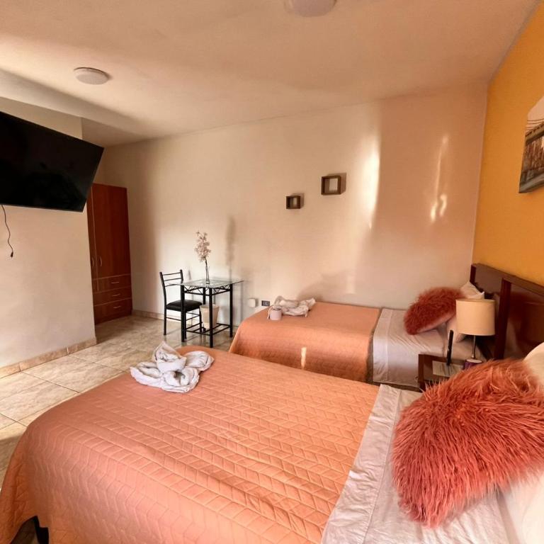 Casa Baraquel - Standard Double or Twin Room with Garden View - 1