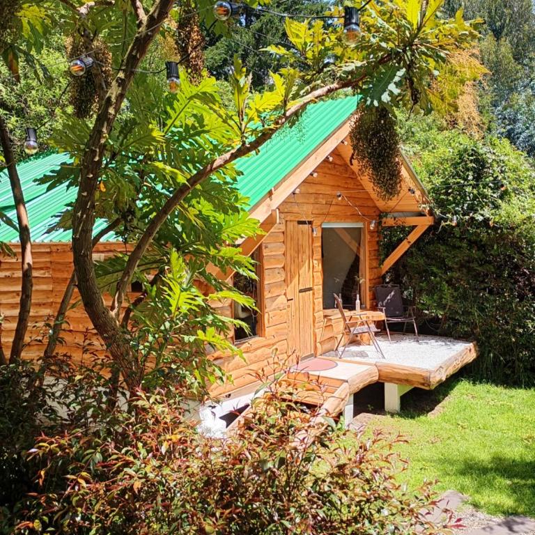 Chalet el Pinar - One-Bedroom Chalet - 8