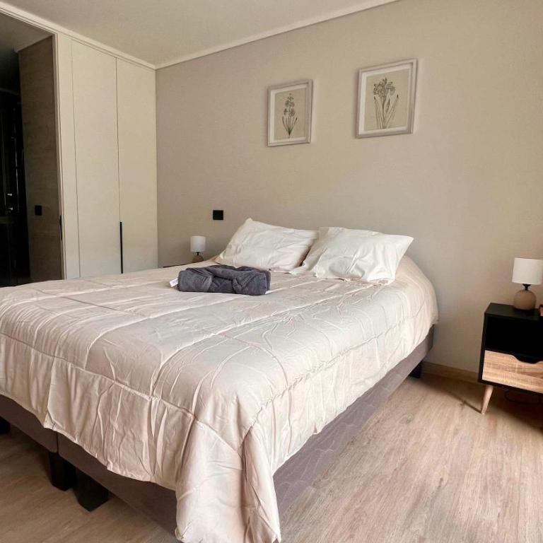 Exclusive Fully Equipped Apartment in Las Condes - Apartment - 5