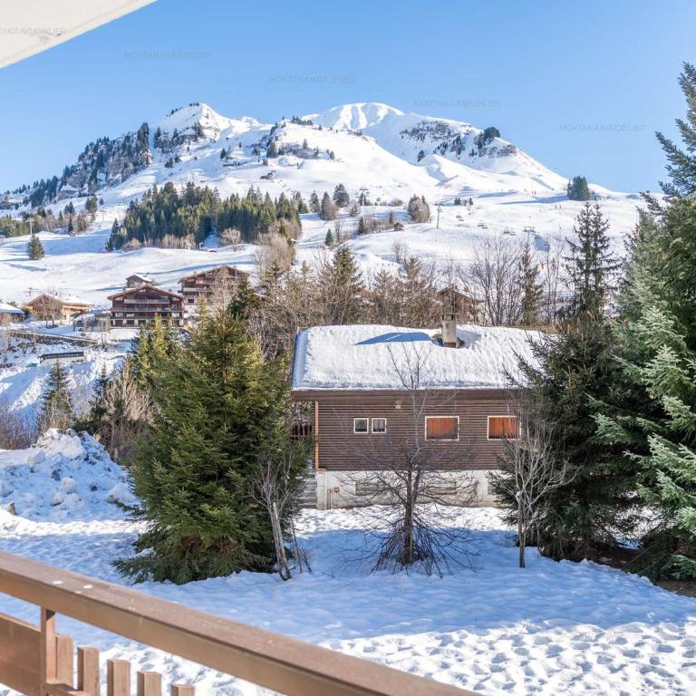 Studio idéal au Chinaillon pour 2 personnes - FR-1-458-258 - Estudio - 13