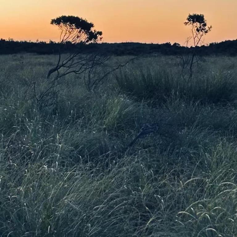 Retiro de recarga - Casa con 1 dormitorio - 11