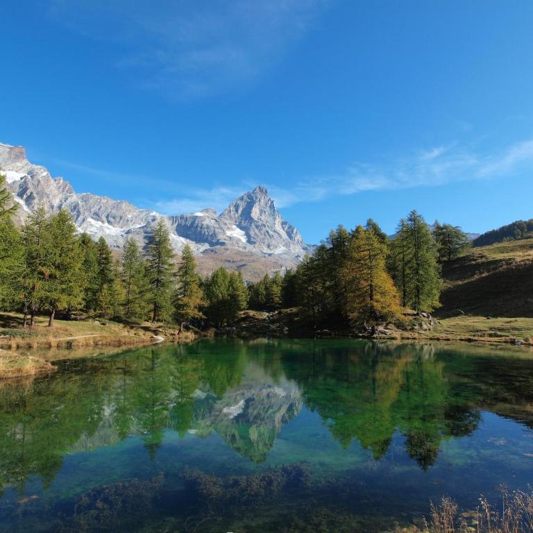 Contemporary Apartment in Breuil-Cervinia near Ski Area - Appartamento con 1 Camera da Letto - 36
