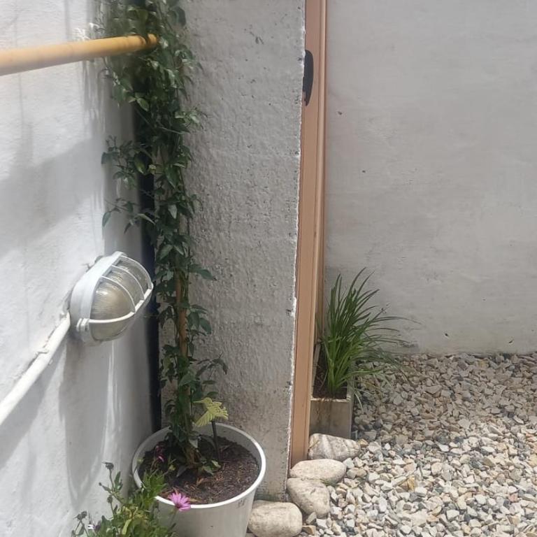 " Departamento Avenida" a 3 cuadras de la laguna y 3 del centro - Apartamento - 2 niveles - 31