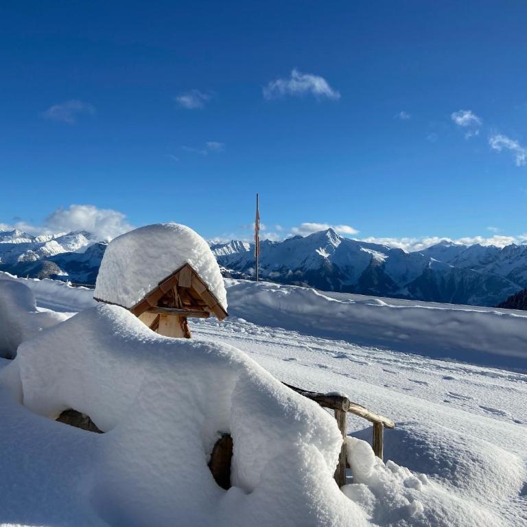 Alpine pasture in the Zillertal mountains - Ferienhaus mit 7 Schlafzimmern - 9
