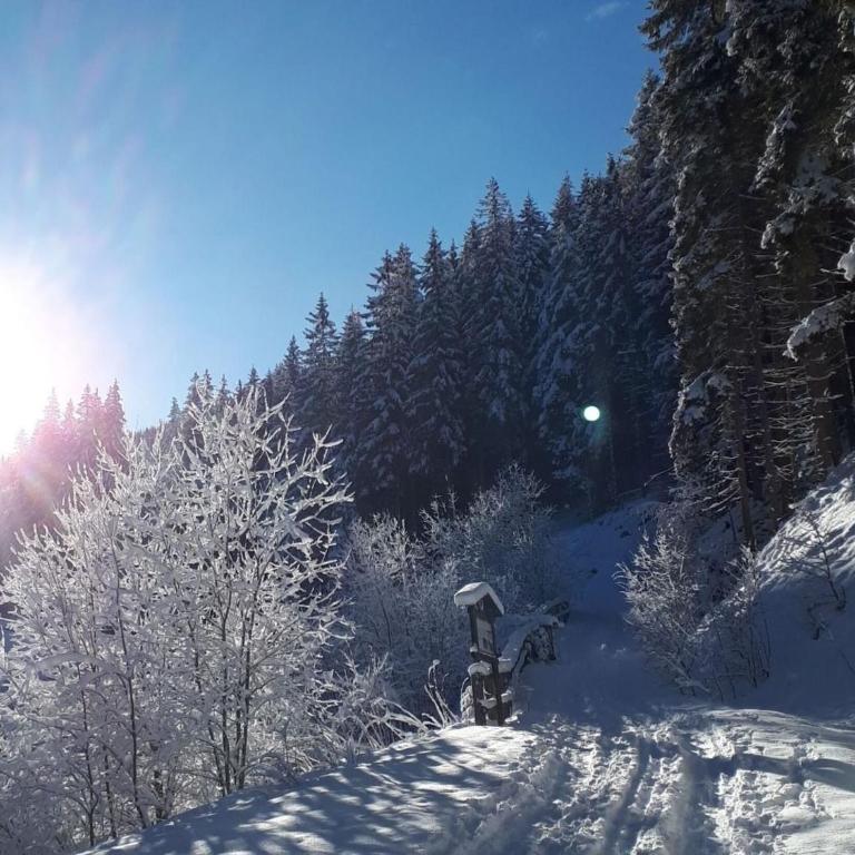 Vogue Apartment in Sankt Margarethen im Lungau near Ski Lift - Apartment mit 3 Schlafzimmern - 31