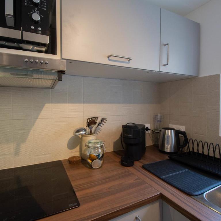 The Lioness of Orléans Spacious & Bright 2-Bedroom - Apartment - 11