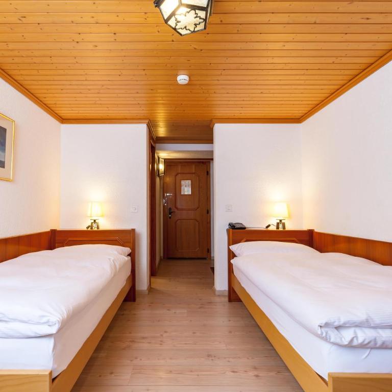 Alpenblick - Doppelzimmer mit 2 Einzelbetten und Terrasse - 1