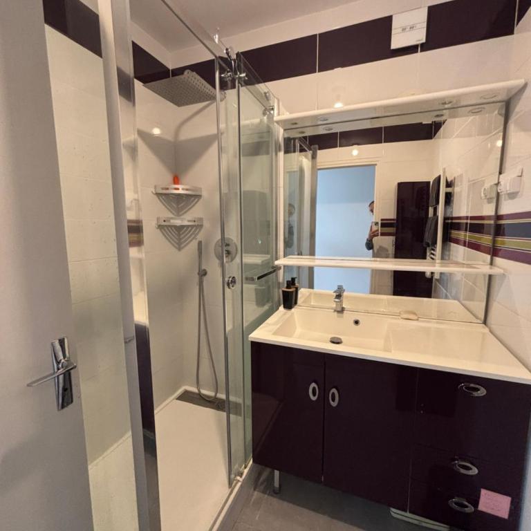 Le Spacieux vue mer - Appartement 2 Chambres - 11