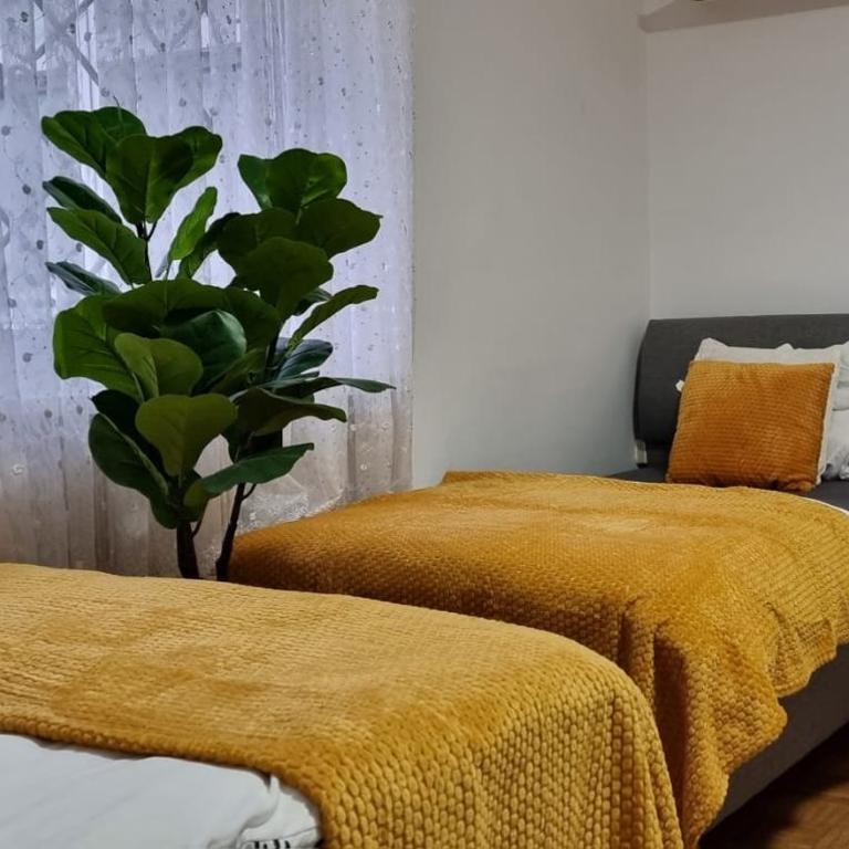 3 Zimmer in Linz - free parking - self check in - Appartement 2 Chambres - 2